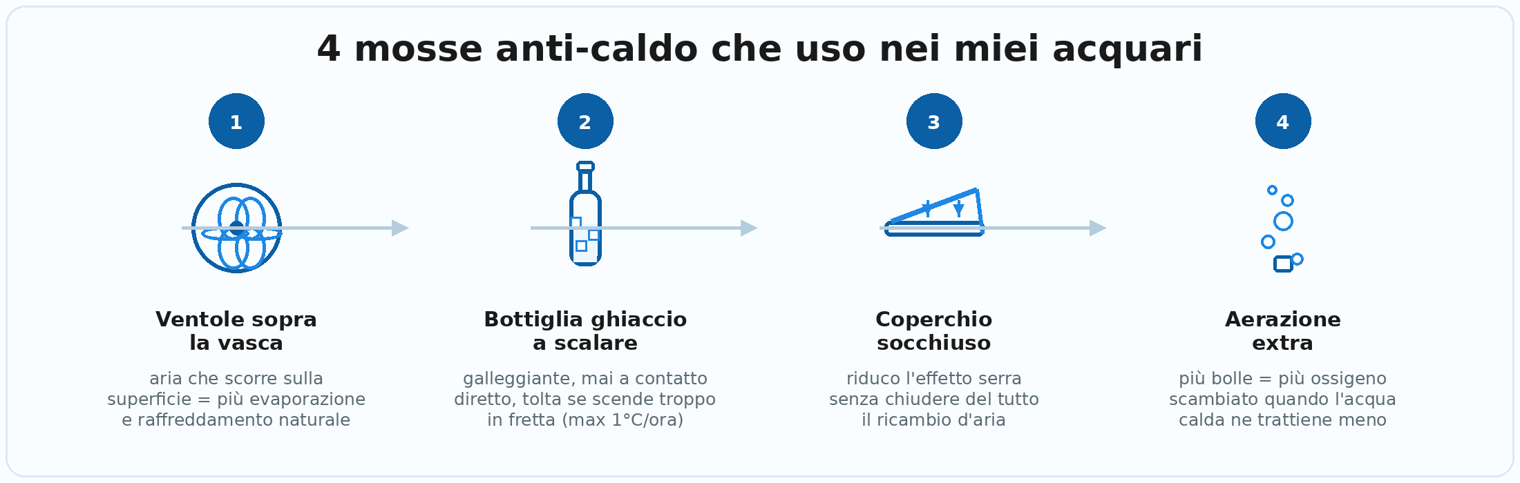 Schema con le 4 mosse anti-caldo per il caldo acquario: ventole sopra la vasca, bottiglia di ghiaccio a scalare, coperchio socchiuso, aerazione extra